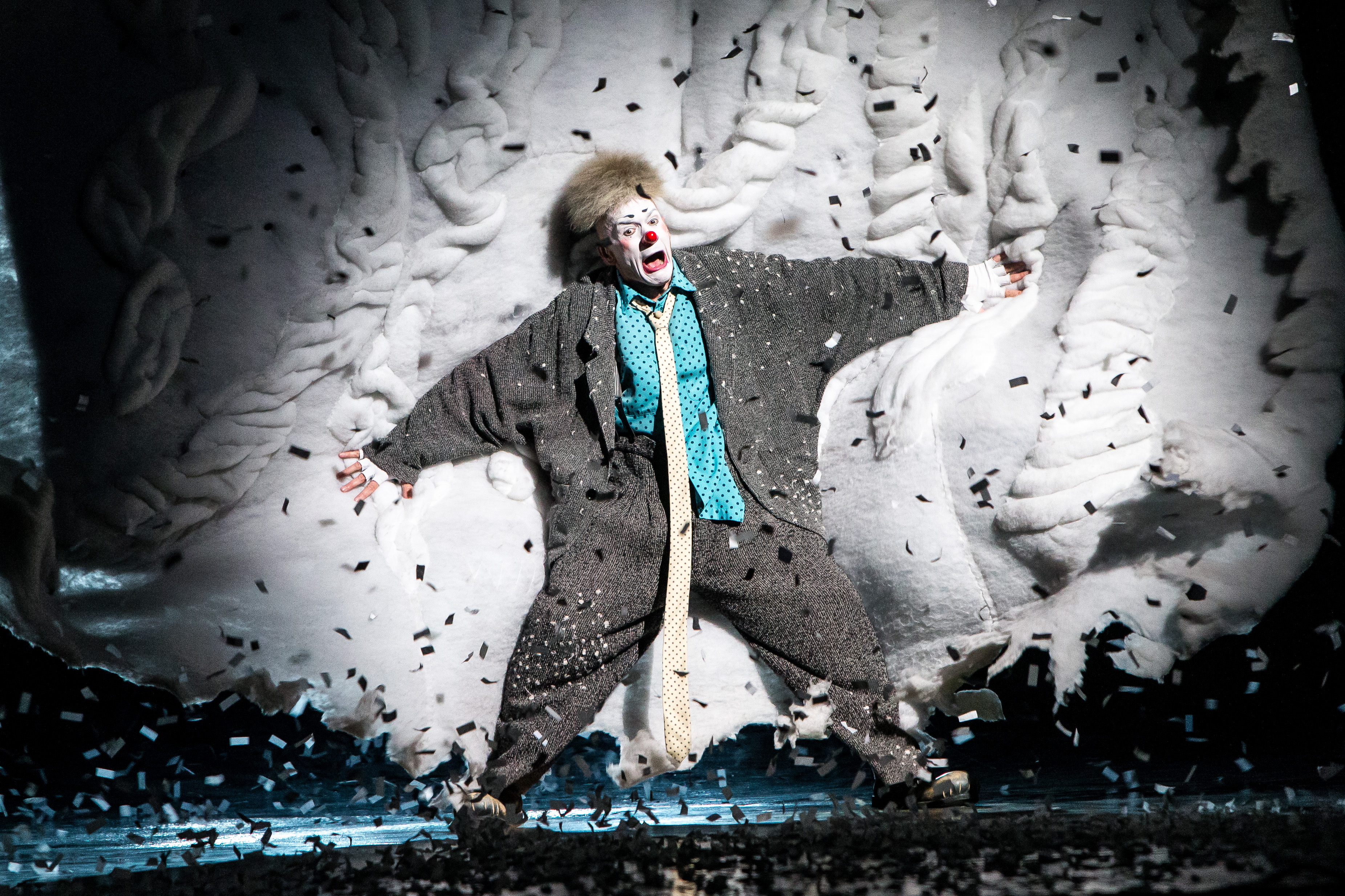 Clown at the circus photography.