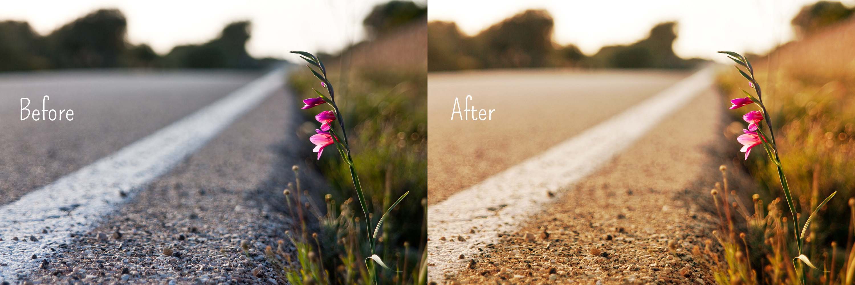 Before and After Copper Sunlight Action