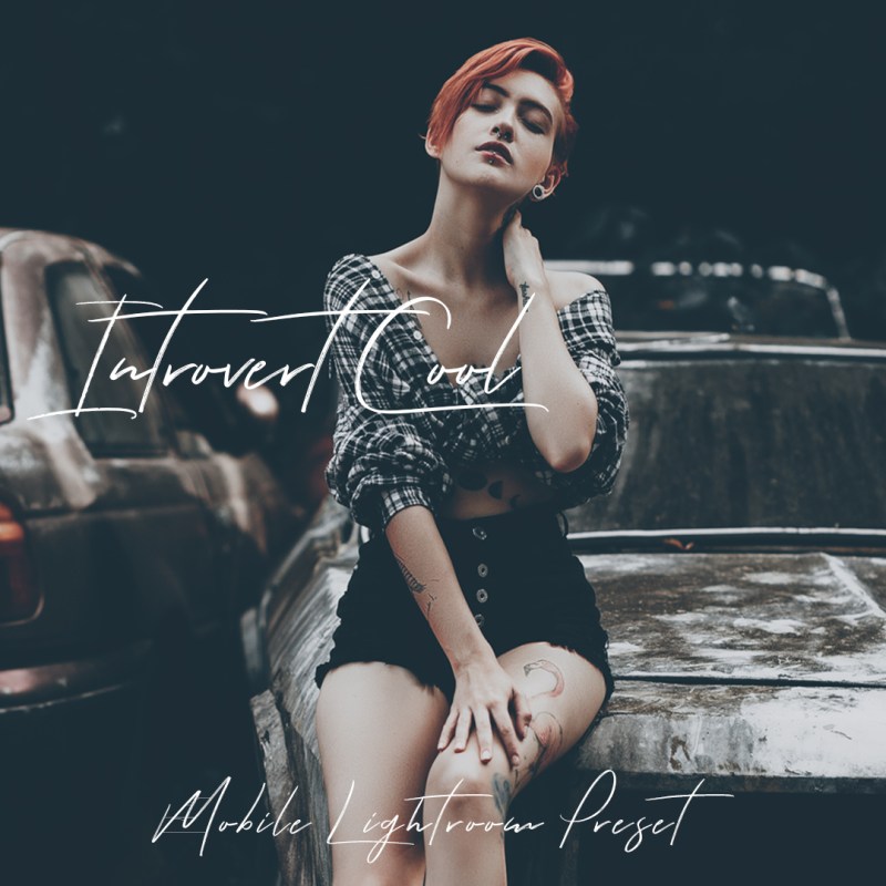 Featured photo for Introvert Cool mobile preset