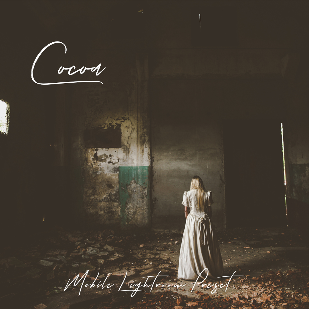 Cocoa - Free cinematic mobile Lightroom preset