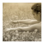 Albumen Lightroom Presets