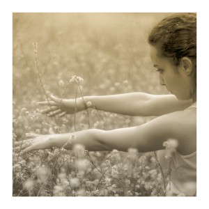 Albumen Lightroom Presets