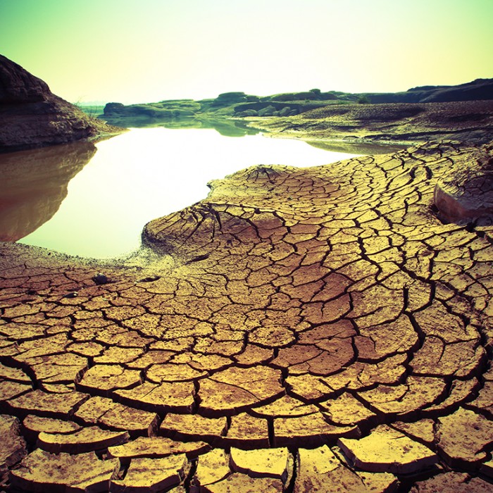 Cross-Process Lightroom Presets