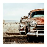 Clarity Detail Main Photo