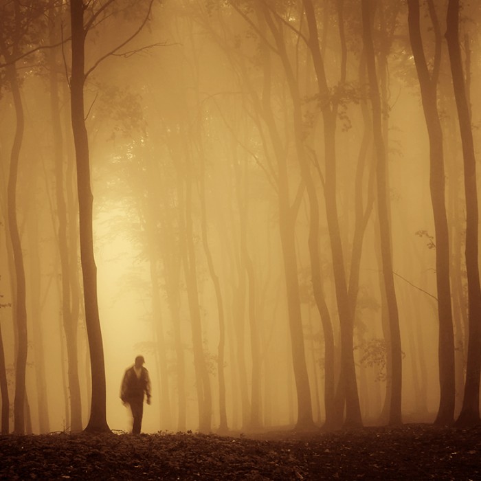 Autumn Glow Lightroom Presets