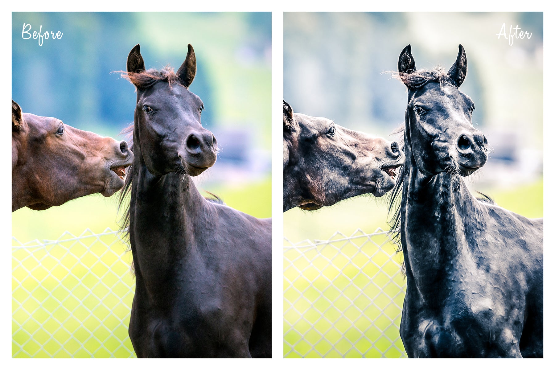 Desaturated Painterly Lightroom Preset