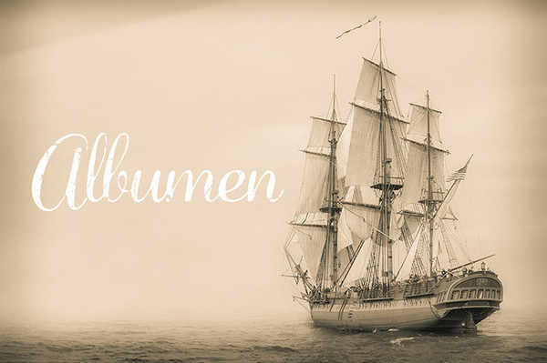 Albumen Lightroom Presets