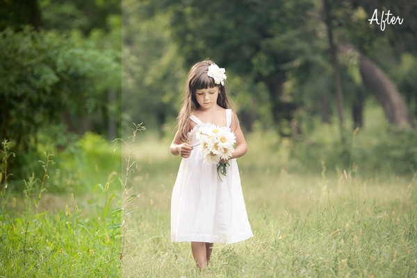 Autochrome Lightroom Presets