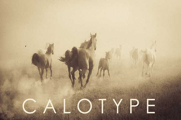 Calotype Lightroom Presets