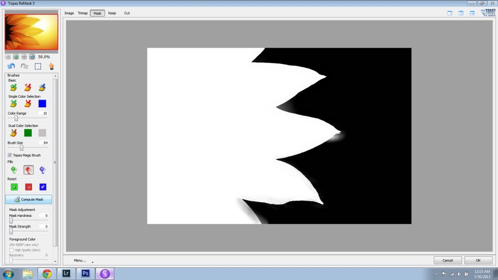 After Hitting Compute Mask