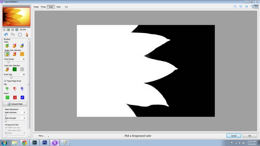 Cleaning Up Errors in Remask