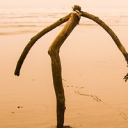 Warm Foggy Beach Lightroom Preset 008