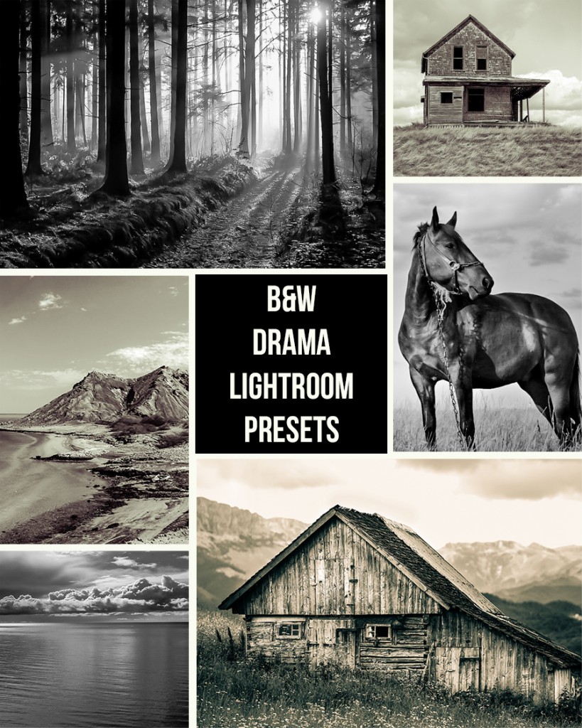 Dramatic Black and White Lightroom presets