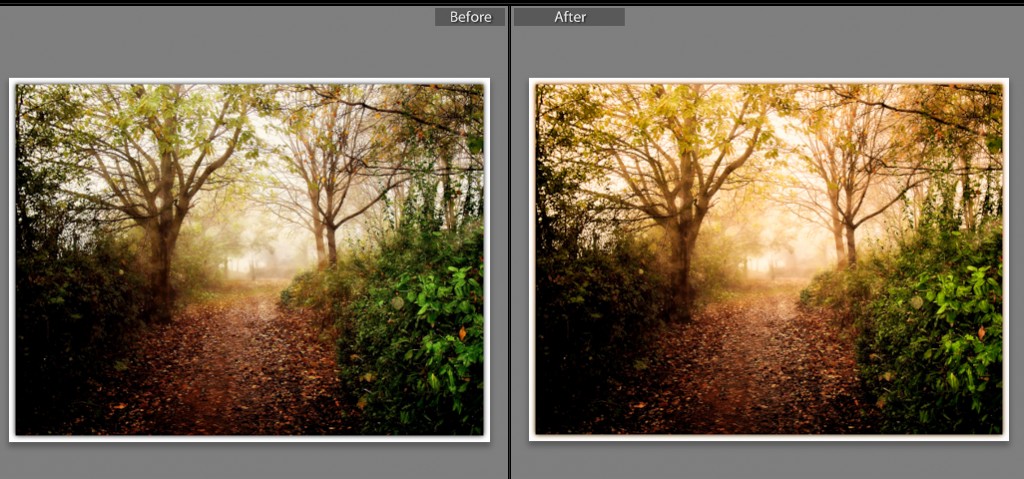 Bright Copper Sunlight Before and After