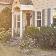 Dreamy Evening Light – Lightroom Preset 072