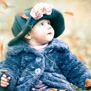 Organic Cross Processing – Lightroom Preset 064