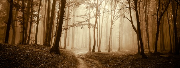 Reduce Yellow Light – Lightroom Preset 104