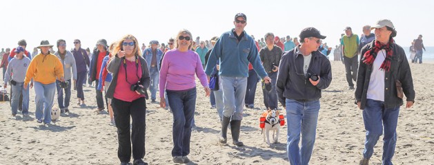 Shadow Details Outdoors – Lightroom Preset 097