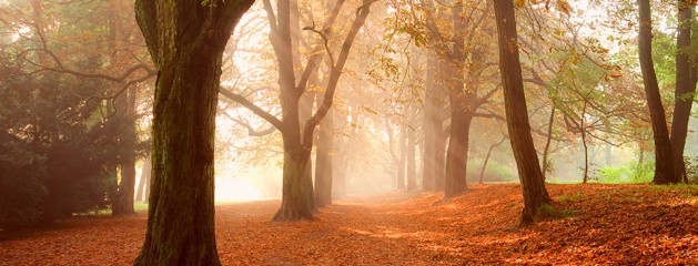 Enhance Fall Scenes – Photoshop Actions 135