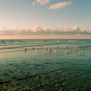 Teal Water – Lightroom Preset 126