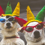 Vibrant Detailed Matte – Lightroom Preset 123