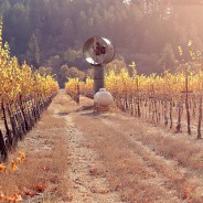 Warm Sunlight and Clarity – Lightroom Preset 136