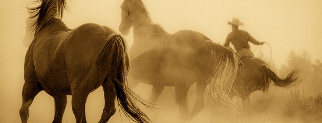 Deep Yellow Brown Albumen – Lightroom Preset 154