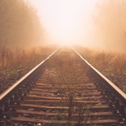 Warm Fog – Lightroom Preset 146