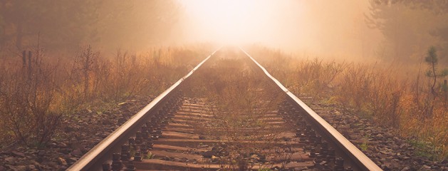 Warm Fog – Lightroom Preset 146