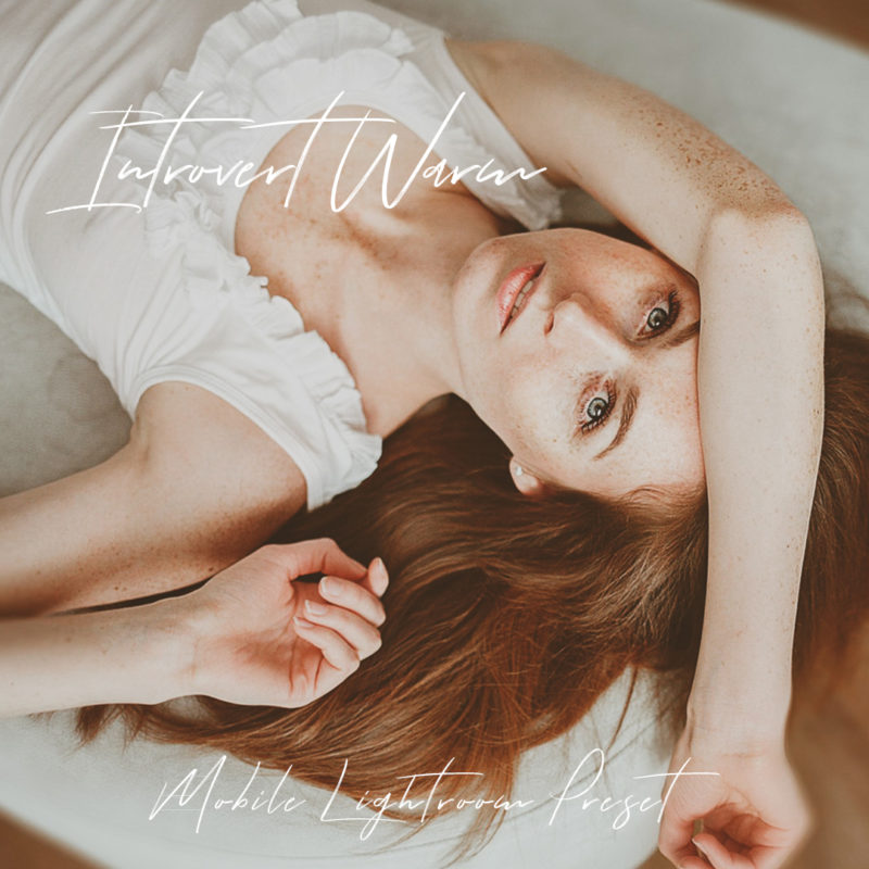 Warm version of Introvert mobile preset.