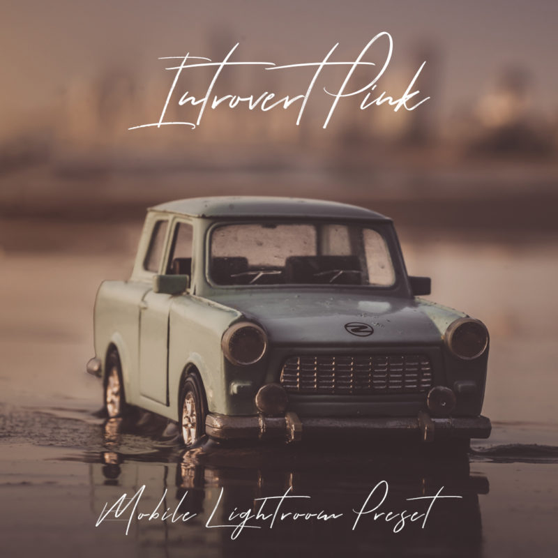 Featured photo for Introvert Pink